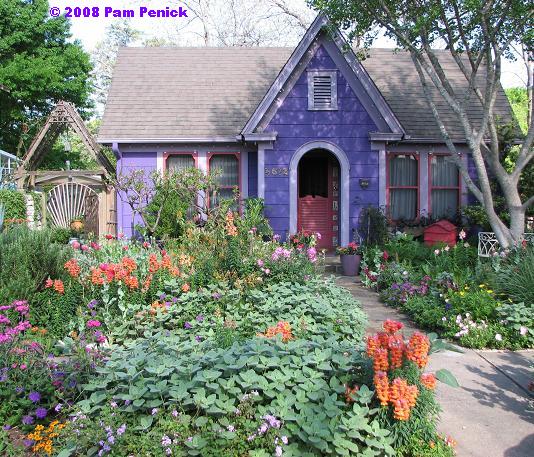 http://www.penick.net/digging/images/2008_04_13%20Lucindas%20Garden/Lucindas%20purple%20house.JPG