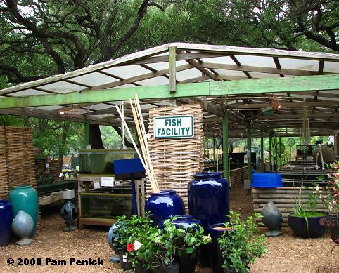 Nursery tour: Hill Country Water Gardens & Nursery