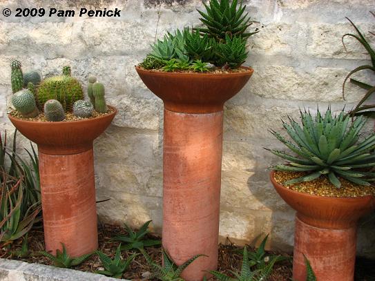 Potted%20cacti%20&%20succulents.JPG