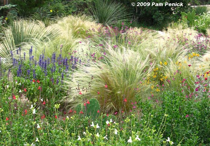 Ornamental Grass Garden Designs