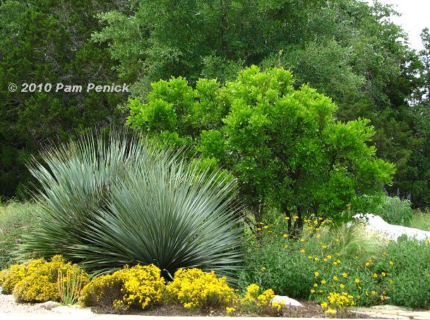 Garden Designers Roundtable: Designing with Native Plants Digging