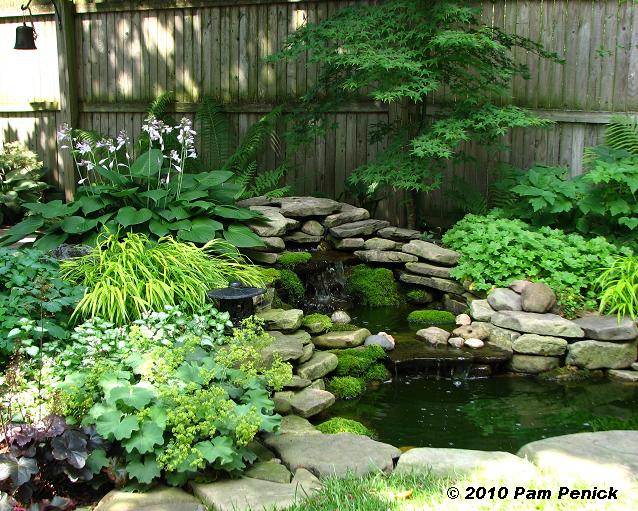 Small Shade Garden Ideas Photograph | In another garden down