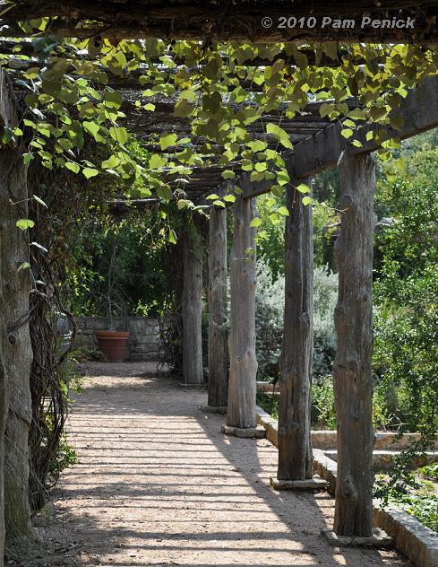 Grape Arbor for Pinterest