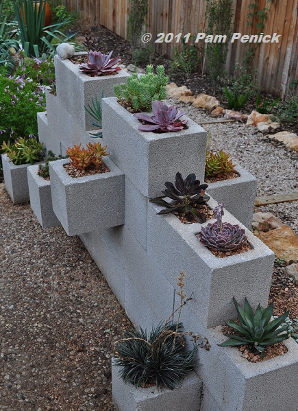 Urban Garden - Cinderblock Succulent Garden