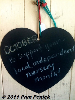 October is Support Your Independent Nursery Month, with giveaways!