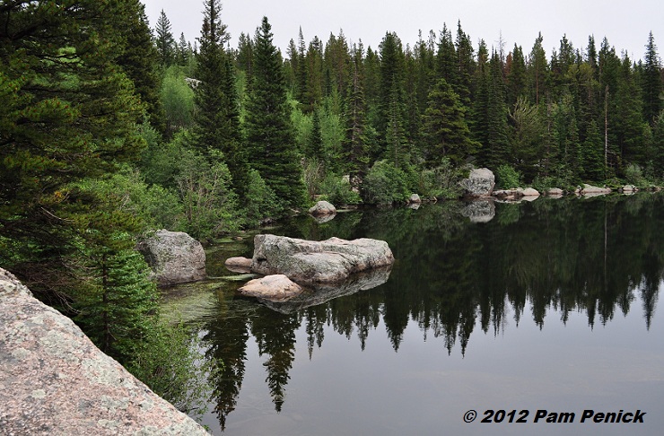 Rocky Mountain National Park: Bear Lake, wildlife, and tundra