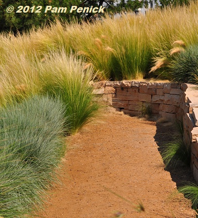 Visit to Denver Botanic Gardens: Grasses & cholla for Foliage Follow-Up