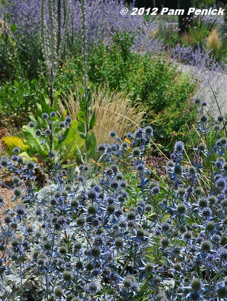 Visit to Denver Botanic Gardens: Water-Smart Garden, Wildflower Treasures & more