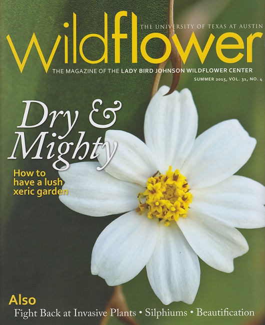 My Dry and Mighty article is in Wildflower magazine