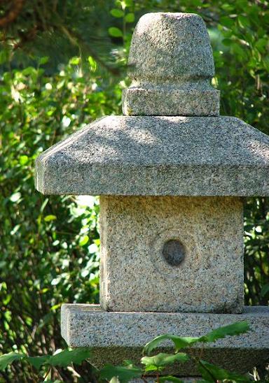 Chicago Botanic Garden Japanese Garden Bonsai Collection Digging