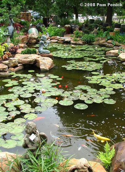 Nursery Tour Hill Country Water Gardens Nursery Digging