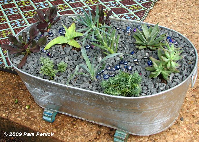 Galvanized Planters Gone Wild Digging