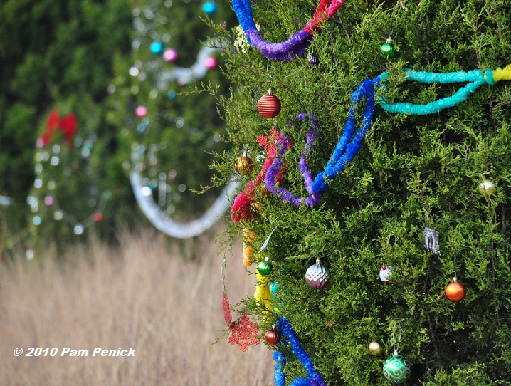 Mysterious Elves Decorate Loop 360 Christmas Trees Digging