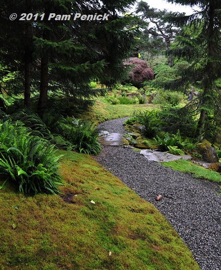 Pacific Northwest Terrarium Moss Green Moody Landscape 