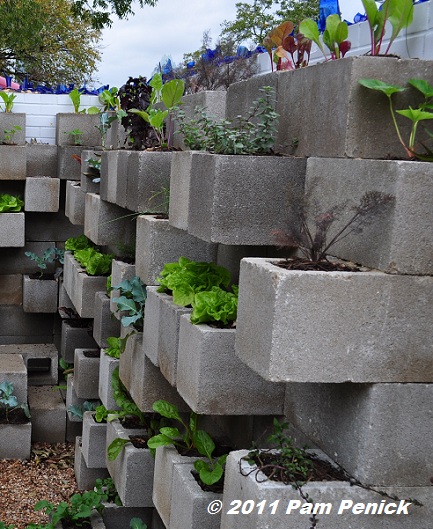 Cinder Blocks Austin TX