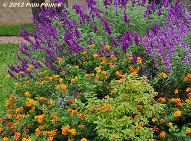 Drab fall? Not in this colorful streetside garden - Digging