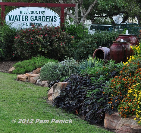 Winner Of The Hill Country Water Gardens Nursery Giveaway Digging