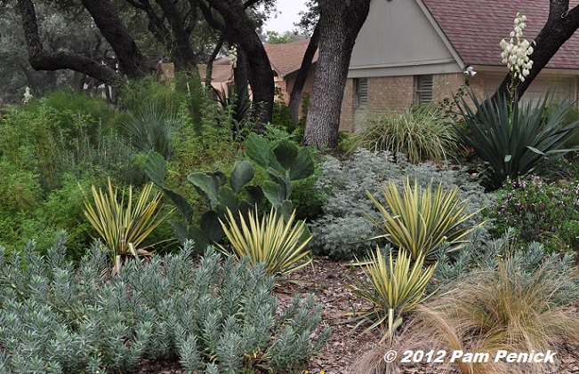 How To Green Up Your Winter Garden In Central Texas Digging