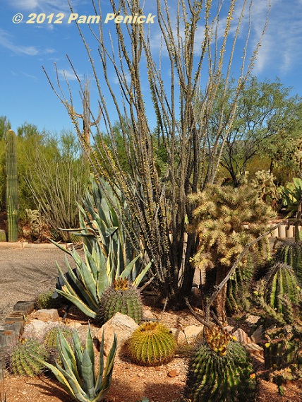 Artful Desert Garden Of Keith And Helga Zwickl Digging