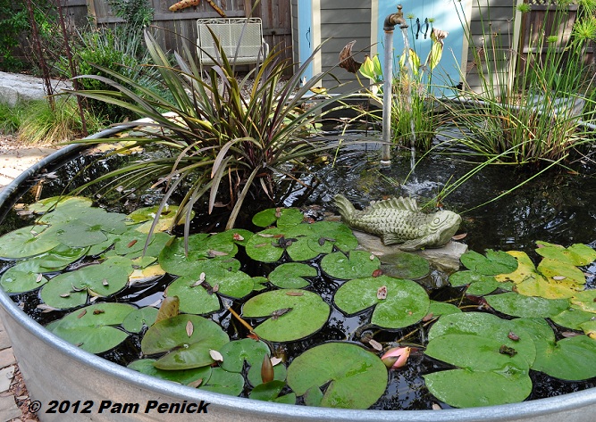 Winterizing a stock tank pond - Digging