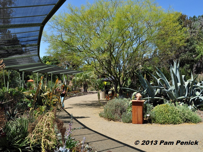 Sculptural Dry Gardens At The Ruth Bancroft Garden San Francisco