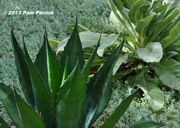 Green texture for September Foliage Follow-Up