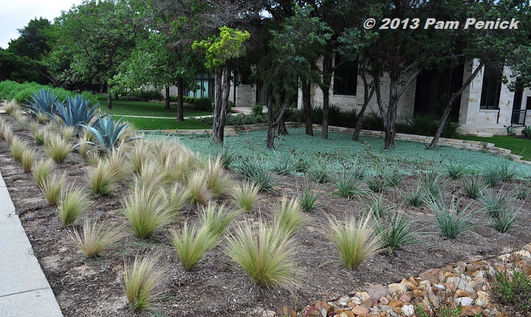 Drive-By Gardens: Xeric, mass-planted garden replaces a lot of lawn