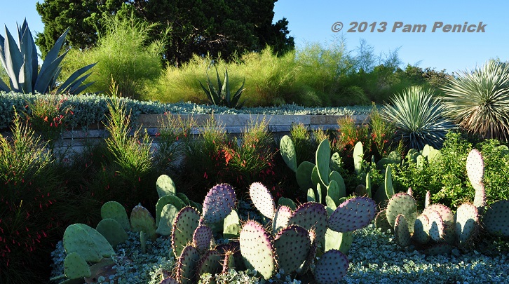 Foliage Follow-Up: Dynamic xeric gardens in Serene Hills