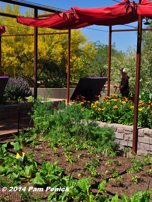 Visit To Desert Botanical Garden And Chihuly Exhibit Edible