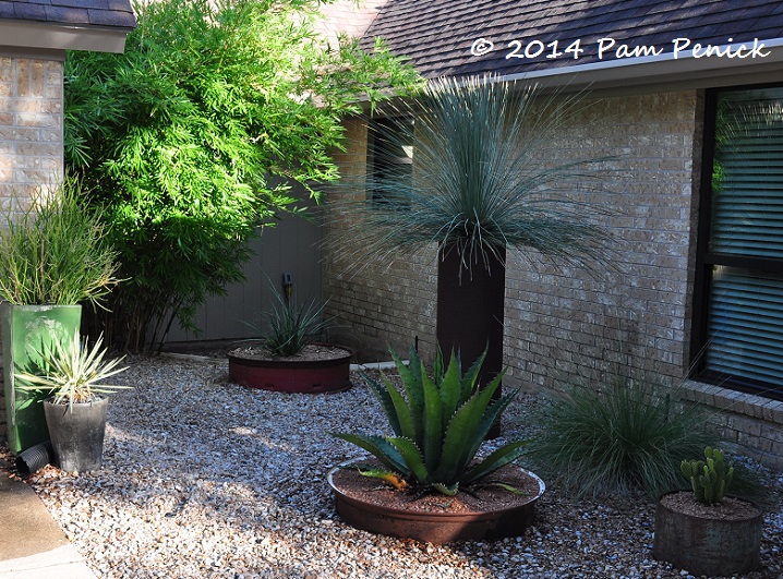 Container Gardening - Bosque