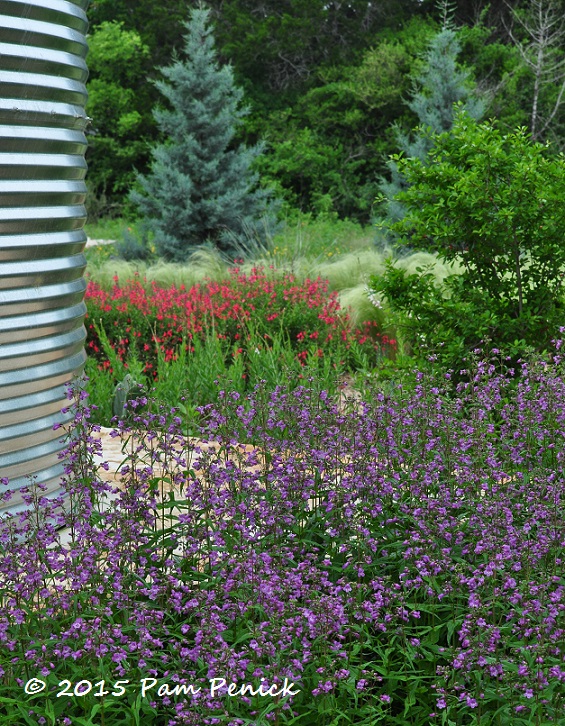 A blooming good time at the Lady Bird Johnson Wildflower Center