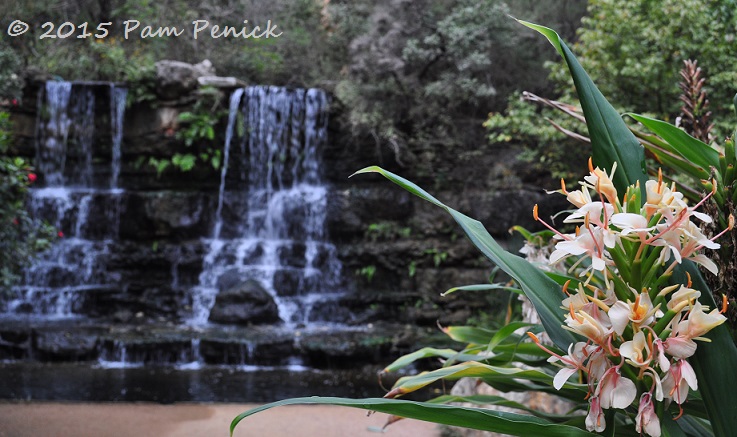 Zilker Botanical Garden Conservancy created to revitalize Austin's botanical garden