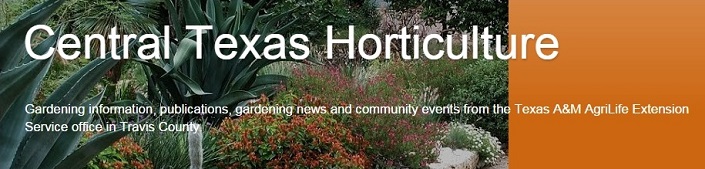Central Texas Horticulture