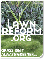 Lawn Reform Coalition