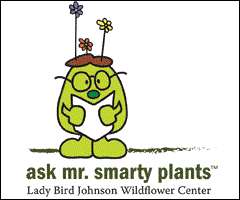 Ask Mr Smarty Plants