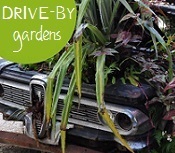 Drive-By Gardens