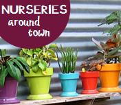 Nurseries