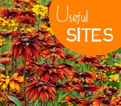 Useful Websites