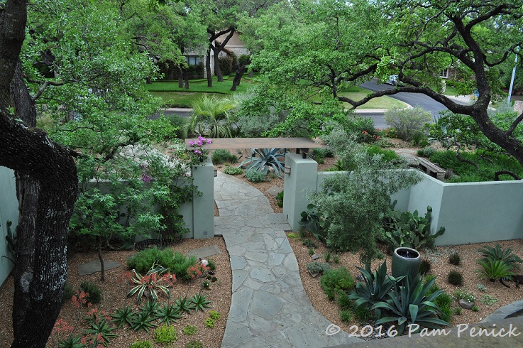 Dry Garden Lushness Linda Peterson S San Antonio Garden Digging