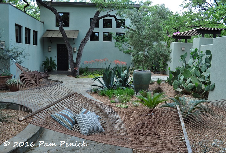 Dry Garden Lushness Linda Peterson S San Antonio Garden Digging