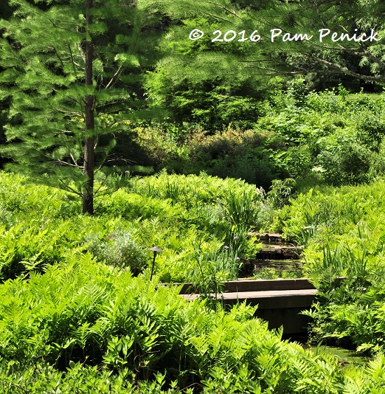 Meadow Views And Fantasy Treehouses At Longwood Gardens Digging