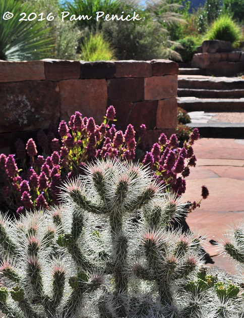 High Desert In Bloom At Santa Fe Botanical Garden Digging