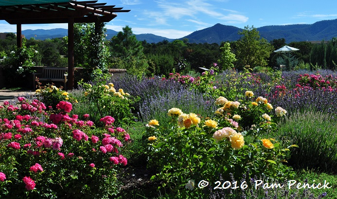 High Desert In Bloom At Santa Fe Botanical Garden Digging