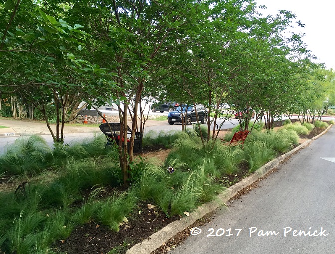 Turning a neighborhood median strip into a garden