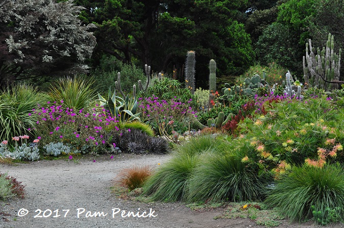 Mendocino Coast Botanical Gardens, part 2: Succulents, Ocean Trail, and Dahlia Garden