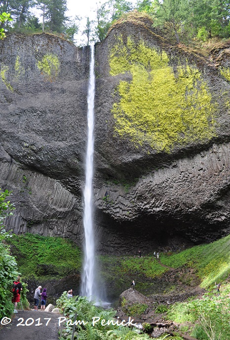 Columbia River Gorge, waterfalls, and flower farms, a scenic Oregon drive -  before the fire - Digging