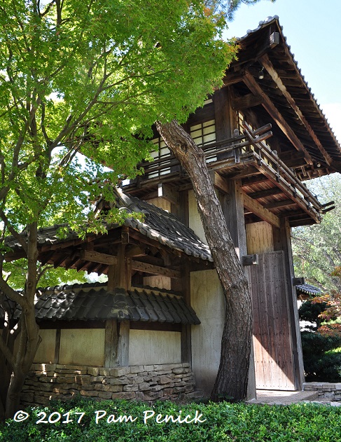 Visit To Fort Worth Botanic Garden And Japanese Garden Digging