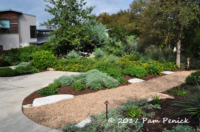 Water-saving Ridgewood Road Garden: Austin Open Days Tour 2017 - Digging