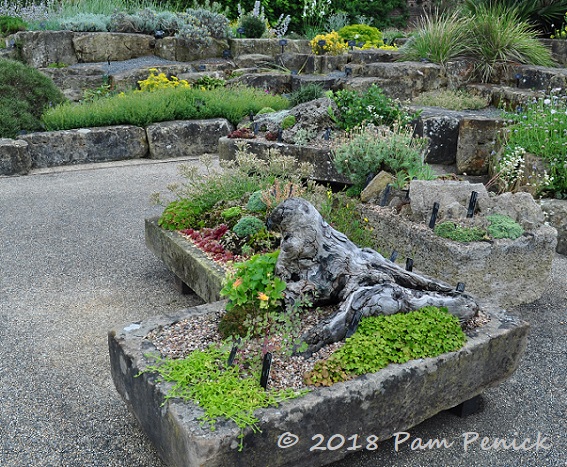 Miniature gardens - Alpine Garden Society