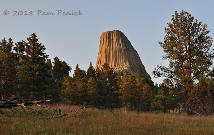 A close encounter with Devils Tower in Wyoming